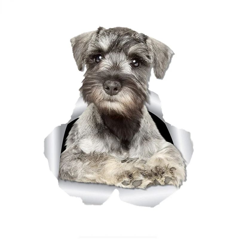 3D Curious Schnauzer Dog Car Stickers Wall Toilet Children's Room, Luggage Skateboard Laptop Polyethylene Decals
3D Curious Schnauzer Dog Car Stickers Wall Toilet Children's Room, Luggage Skateboard Laptop Polyethylene Decals