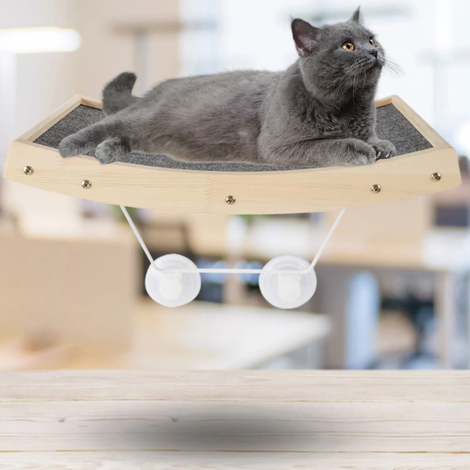 Настенная кошачья Когтеточка на окно для скретч-доска для отдыха Игрушка с видом Экономия места
Настенная кошачья Когтеточка на окно для скретч-доска для отдыха Игрушка с видом Экономия места