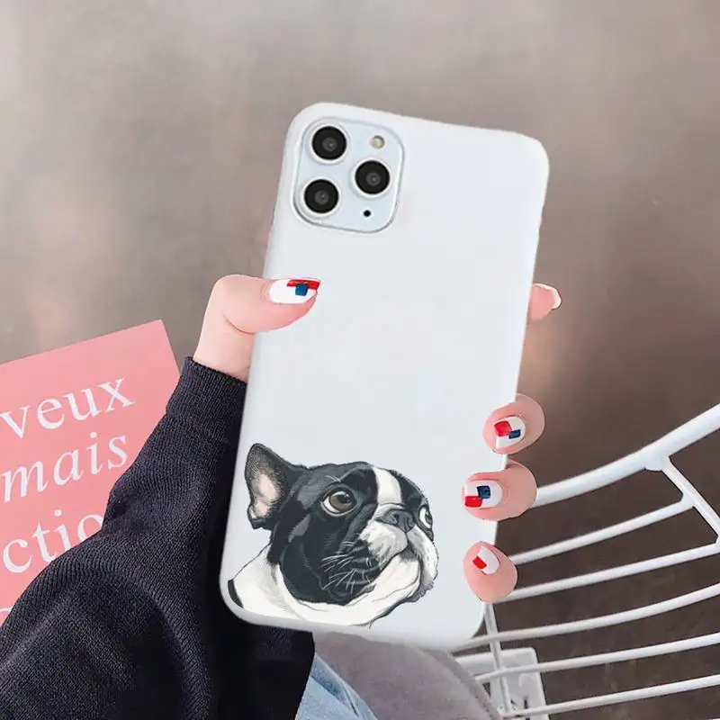Dog French Bulldog Phone Case White Candy Color for iPhone 6 7 8 11 12 s mini pro X XS XR MAX Plus
Dog French Bulldog Phone Case White Candy Color for iPhone 6 7 8 11 12 s mini pro X XS XR MAX Plus