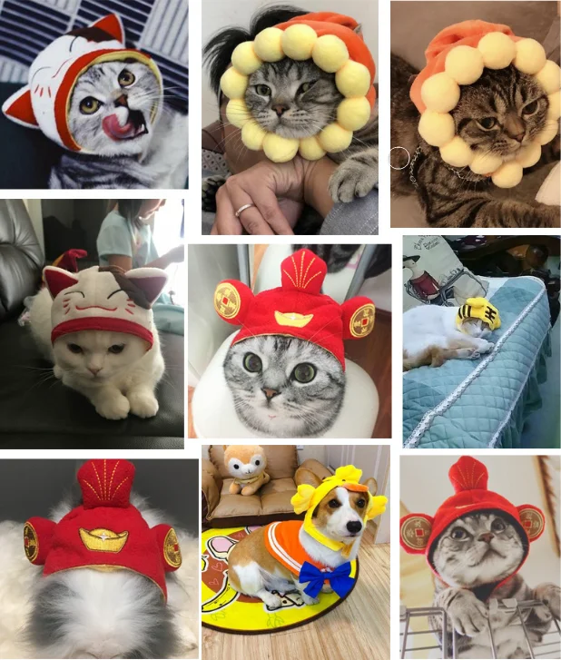 

10 Interesting Pet Headgear, Cute Dog Teddy Dress Up, Sun Flower Lucky Headgear, Wig, Cat Headgear, Hat, Cat Dress Up, Cosplay