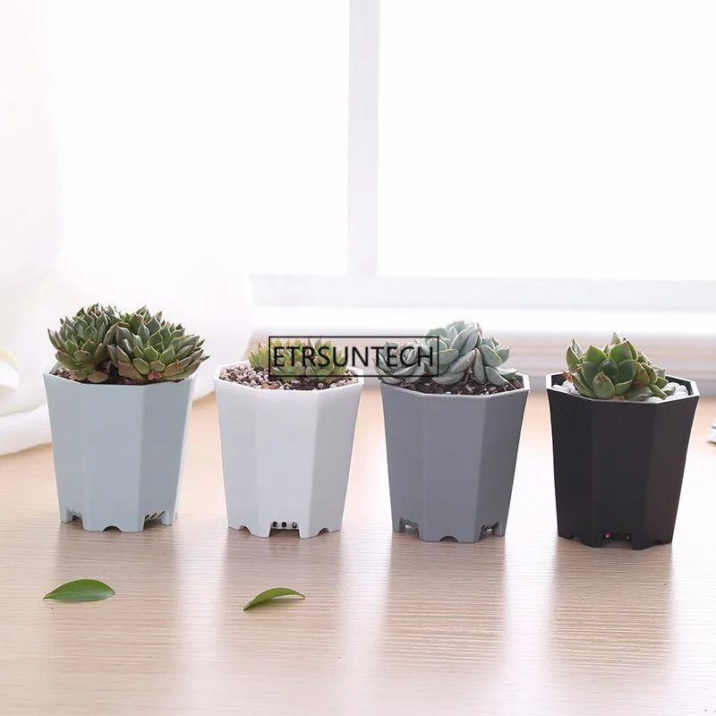 700pcs Colors Flower Pots Planters Pot Trays Plastic Pots Creative Small Square Pots for Succulent Plants
700pcs Colors Flower Pots Planters Pot Trays Plastic Pots Creative Small Square Pots for Succulent Plants