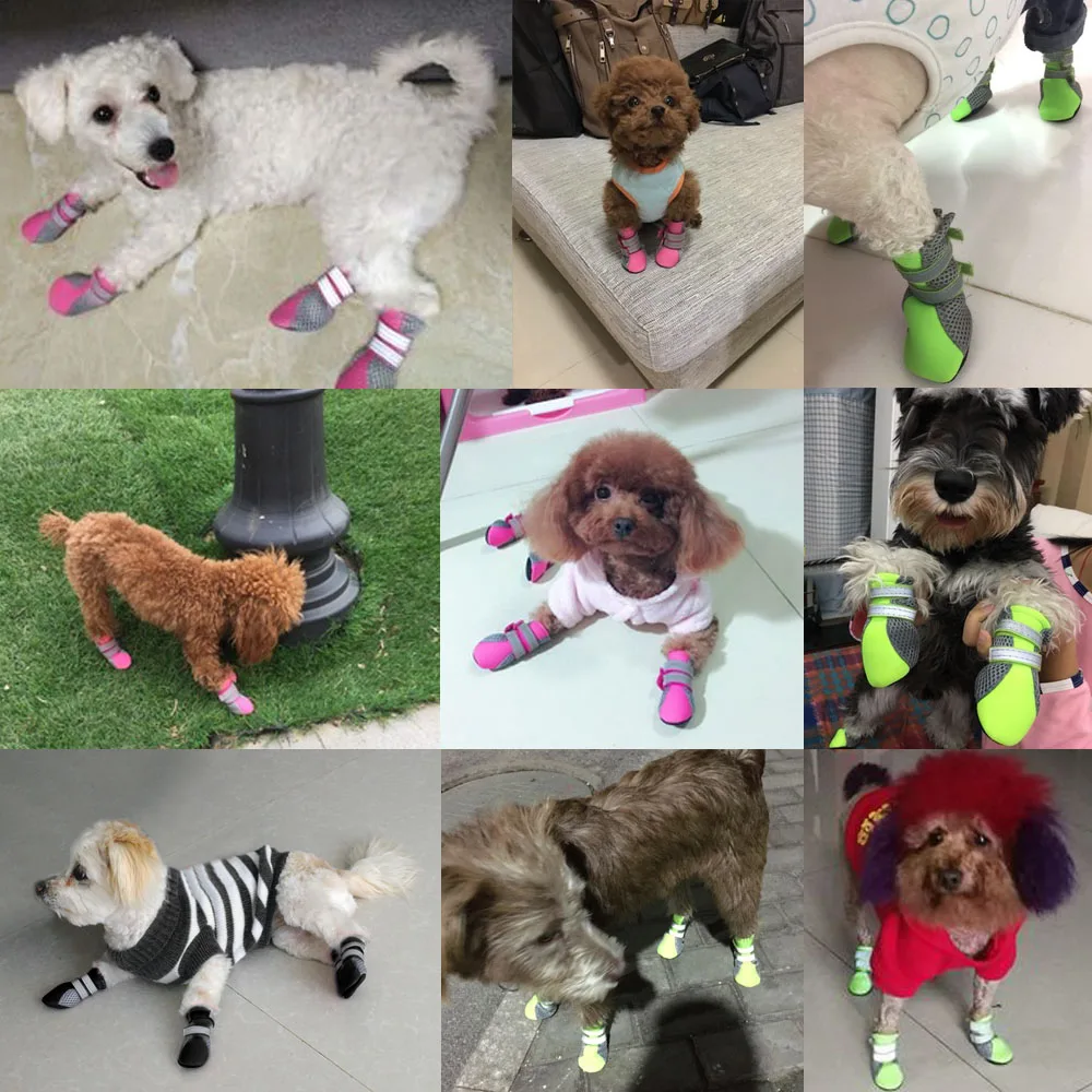 Pet Dog Shoes Puppy Outdoor Soft Bottom For Cat Chihuahua Rain Boots Waterproof Boots Perros Mascotas Botas sapato para cachorro
Pet Dog Shoes Puppy Outdoor Soft Bottom For Cat Chihuahua Rain Boots Waterproof Boots Perros Mascotas Botas sapato para cachorro