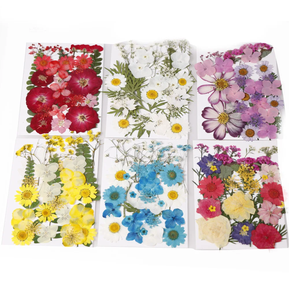 1lot Mix style Beautiful Real Pressed Flower Dried Flowers for Art Craft Epoxy Resin Jewelry Craft Making Epoxy Mold Filling
1lot Mix style Beautiful Real Pressed Flower Dried Flowers for Art Craft Epoxy Resin Jewelry Craft Making Epoxy Mold Filling