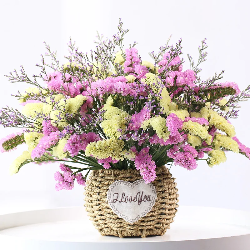 Preserved Baby Breath Dried Bouquet with Vase Mother's Party Gift Myosotis Gypsophila Flower Basket Home Decor Gift for Wife
Preserved Baby Breath Dried Bouquet with Vase Mother's Party Gift Myosotis Gypsophila Flower Basket Home Decor Gift for Wife