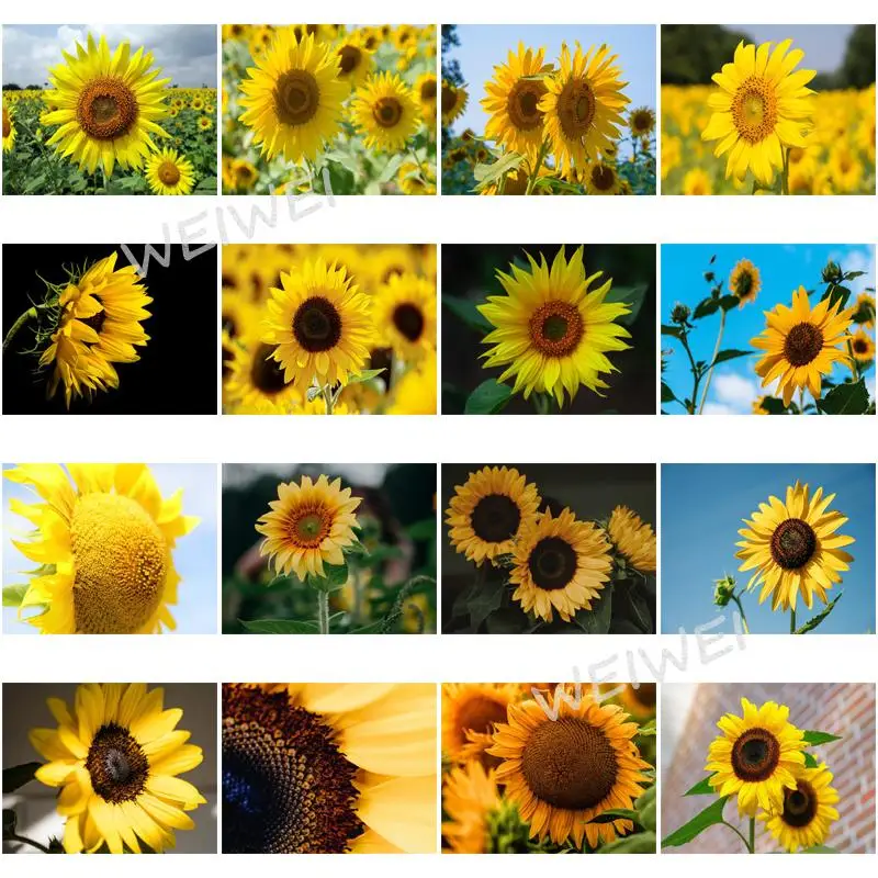 5D Diy Diamond Embroidery Yellow Sunflower Full Drill Diamond Painting Resin Diamond Mosaic Art Home Decoration Handmade Gift
5D Diy Diamond Embroidery Yellow Sunflower Full Drill Diamond Painting Resin Diamond Mosaic Art Home Decoration Handmade Gift