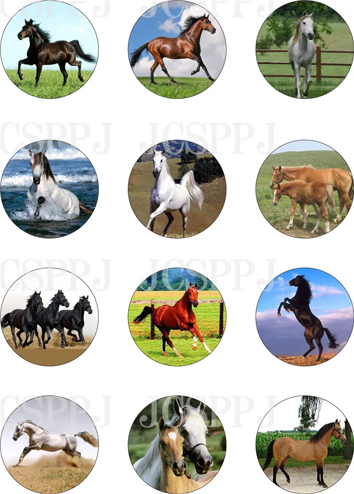Waterproof jewelry glass, printed horse size 8~40mm, used for pendant key chain bookmarks and other jewelry accessories
Waterproof jewelry glass, printed horse size 8~40mm, used for pendant key chain bookmarks and other jewelry accessories