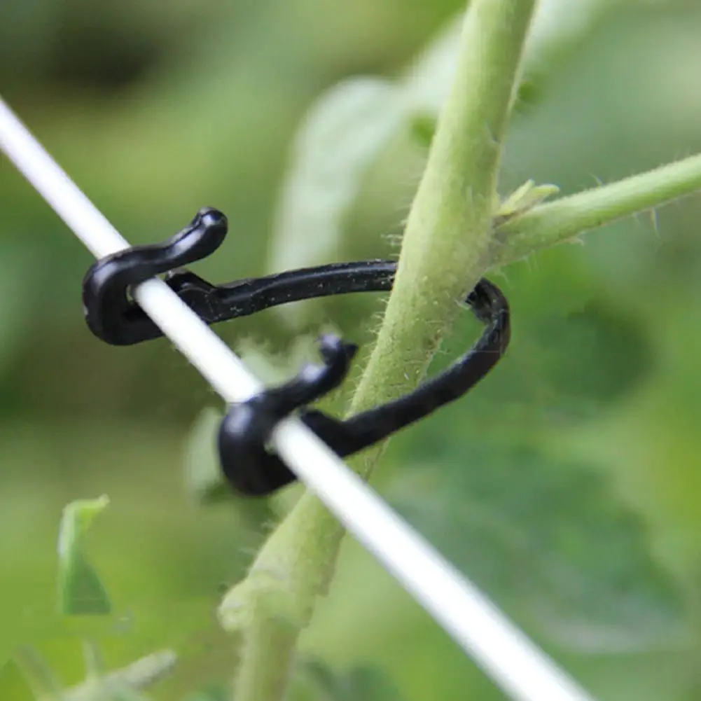 100PCS Vines Fastener Tied Buckle Hook Plant Vegetable Grafting Clips Agricultural Greenhouse Supplies
100PCS Vines Fastener Tied Buckle Hook Plant Vegetable Grafting Clips Agricultural Greenhouse Supplies
