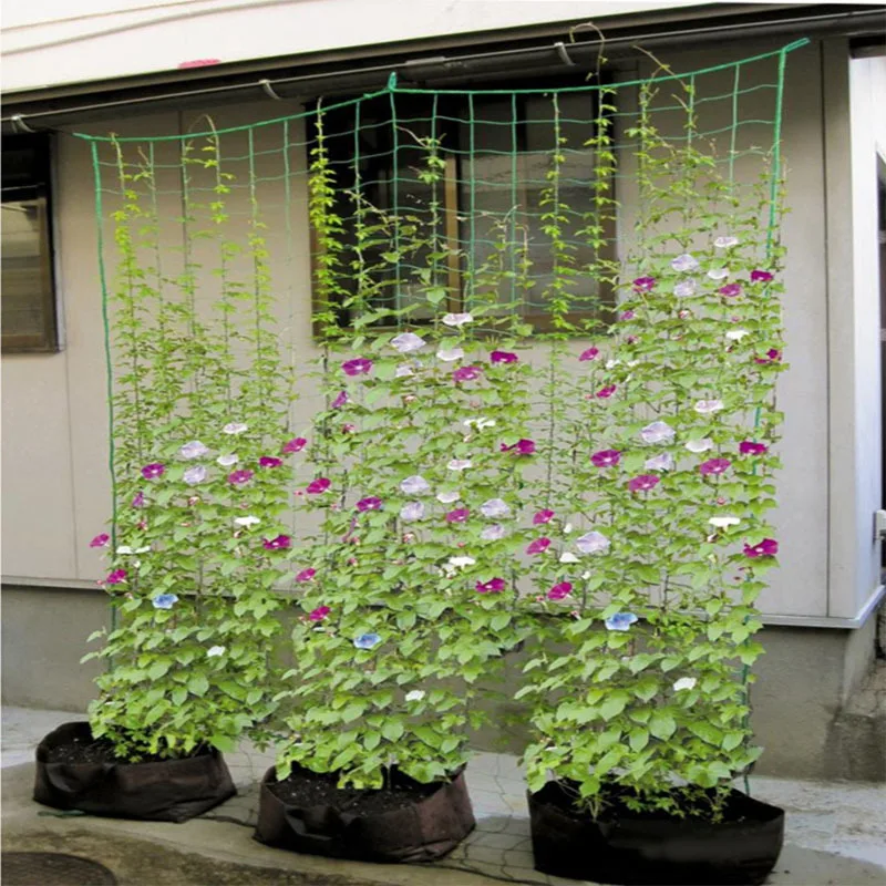 Garden Plant Flower Vine Climbing Rope Climbing Net Trellis Mesh Plants Support Ropes Green Bean Cucumber Planting Garden Tools
Garden Plant Flower Vine Climbing Rope Climbing Net Trellis Mesh Plants Support Ropes Green Bean Cucumber Planting Garden Tools