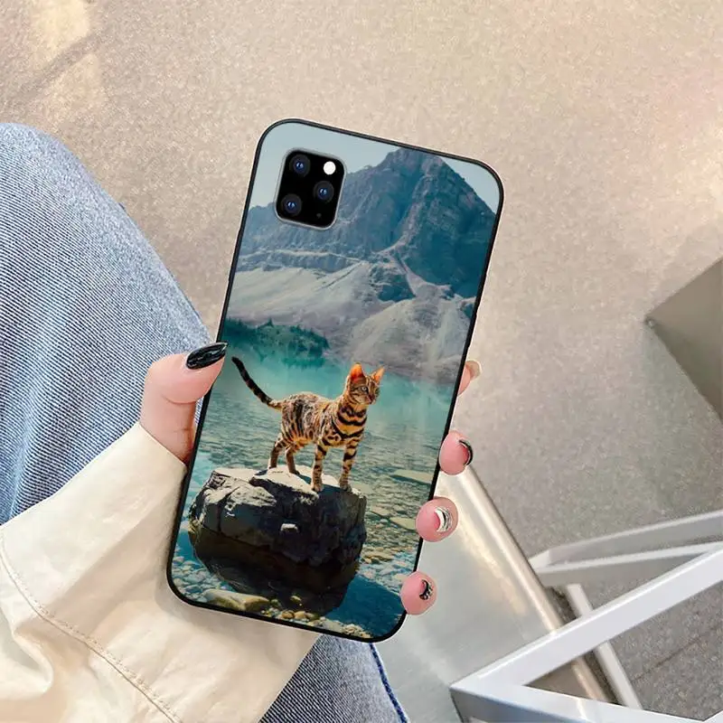 Leopard Cat Phone Case for iphone 6s 7 8 plus xr xs 11 12pro max mini Silicone Fundas Coque
Leopard Cat Phone Case for iphone 6s 7 8 plus xr xs 11 12pro max mini Silicone Fundas Coque