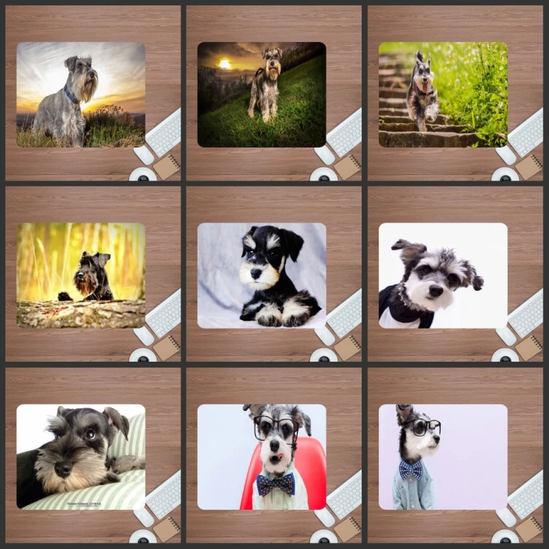 Mairuige Schnauzer симпатичная собака коврик для мыши 220X180mm компьютер Большая распродажа дешевая резиновая настольная клавиатура
Mairuige Schnauzer симпатичная собака коврик для мыши 220X180mm компьютер Большая распродажа дешевая резиновая настольная клавиатура