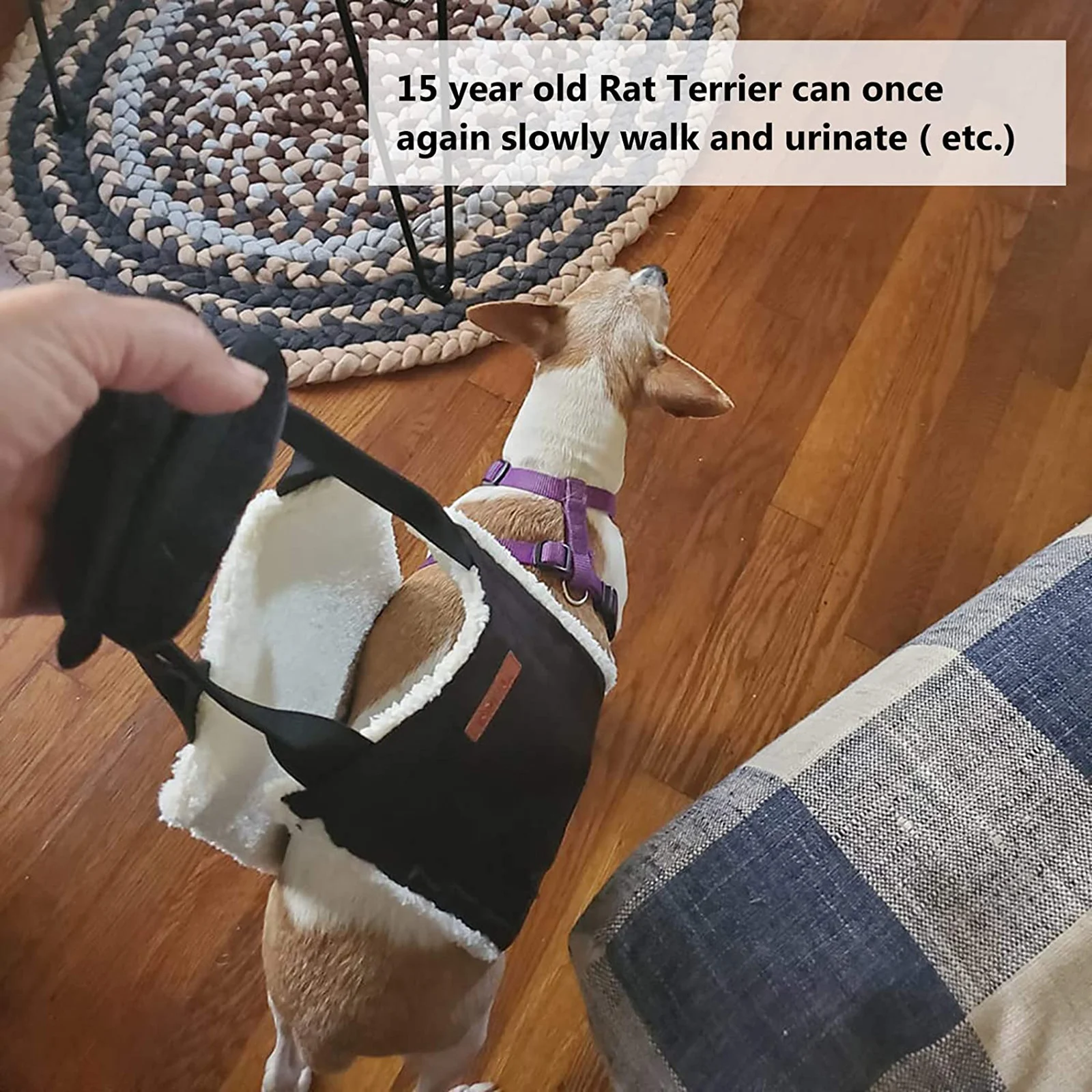 Soft Dog Lift Sling, Back Hip Support Harness, Dog Pets Rear Weak Legs Aid Band for Canine Aid Senior Injured Disabled Dogs
Soft Dog Lift Sling, Back Hip Support Harness, Dog Pets Rear Weak Legs Aid Band for Canine Aid Senior Injured Disabled Dogs