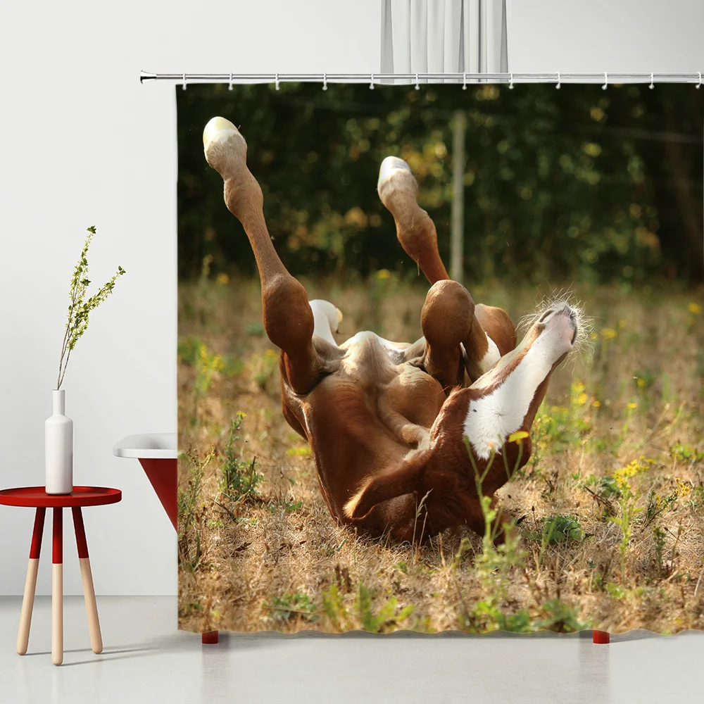 Animal Shower Curtain Set Bathroom Curtains Waterproof Polyester Fabric Kitchen Curtain Set Curtains On The Windows 
Animal Shower Curtain Set Bathroom Curtains Waterproof Polyester Fabric Kitchen Curtain Set Curtains On The Windows