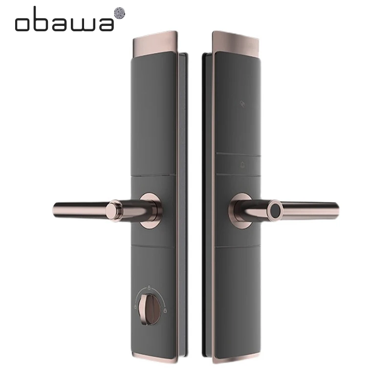 Obawa Smart Door Lock Biometrico Fingerprint Lock Smart Home Security Eletronic Digital Lock Password IC Card C321
Obawa Smart Door Lock Biometrico Fingerprint Lock Smart Home Security Eletronic Digital Lock Password IC Card C321