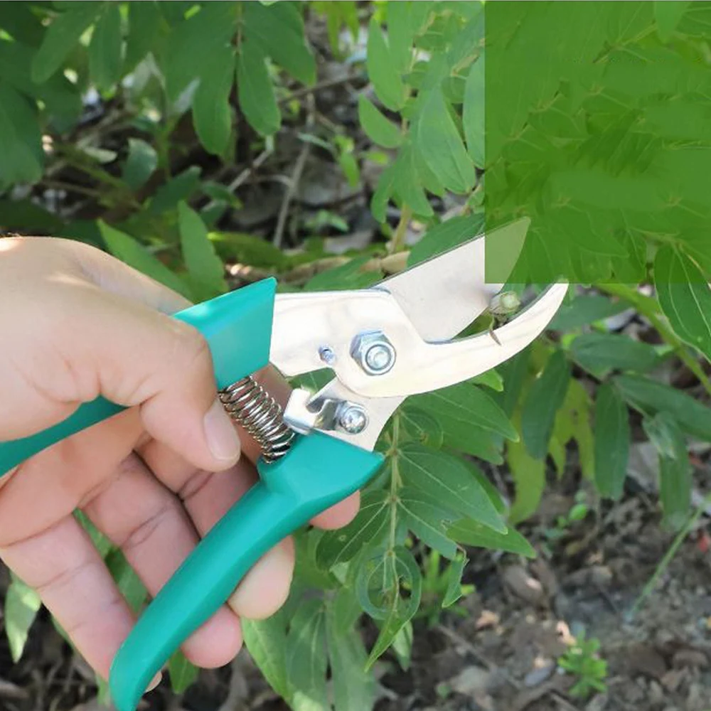 5/10 Pcs Home Gardening Plant Tool Set Balcony Home-grown Mini Digging Suits Shovel Rake Garden Tools with Carrying Case
5/10 Pcs Home Gardening Plant Tool Set Balcony Home-grown Mini Digging Suits Shovel Rake Garden Tools with Carrying Case