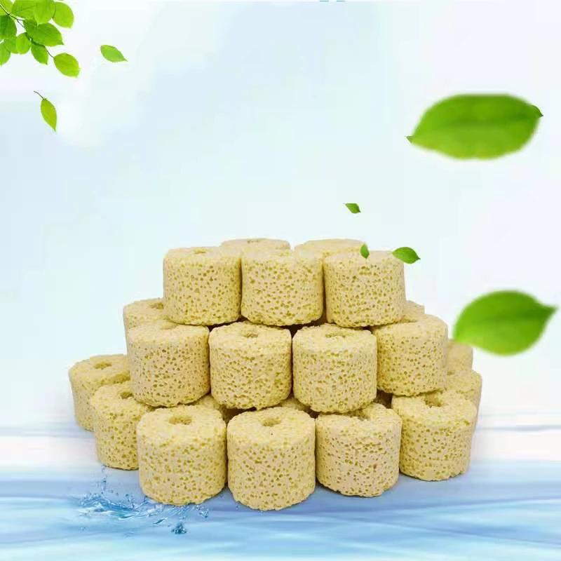 10pcs New Fish Tank Filter Media Aquarium Natural Minerals Ring for Aquarium Filtration Biological Ring Baterial House Fish Tank
10pcs New Fish Tank Filter Media Aquarium Natural Minerals Ring for Aquarium Filtration Biological Ring Baterial House Fish Tank