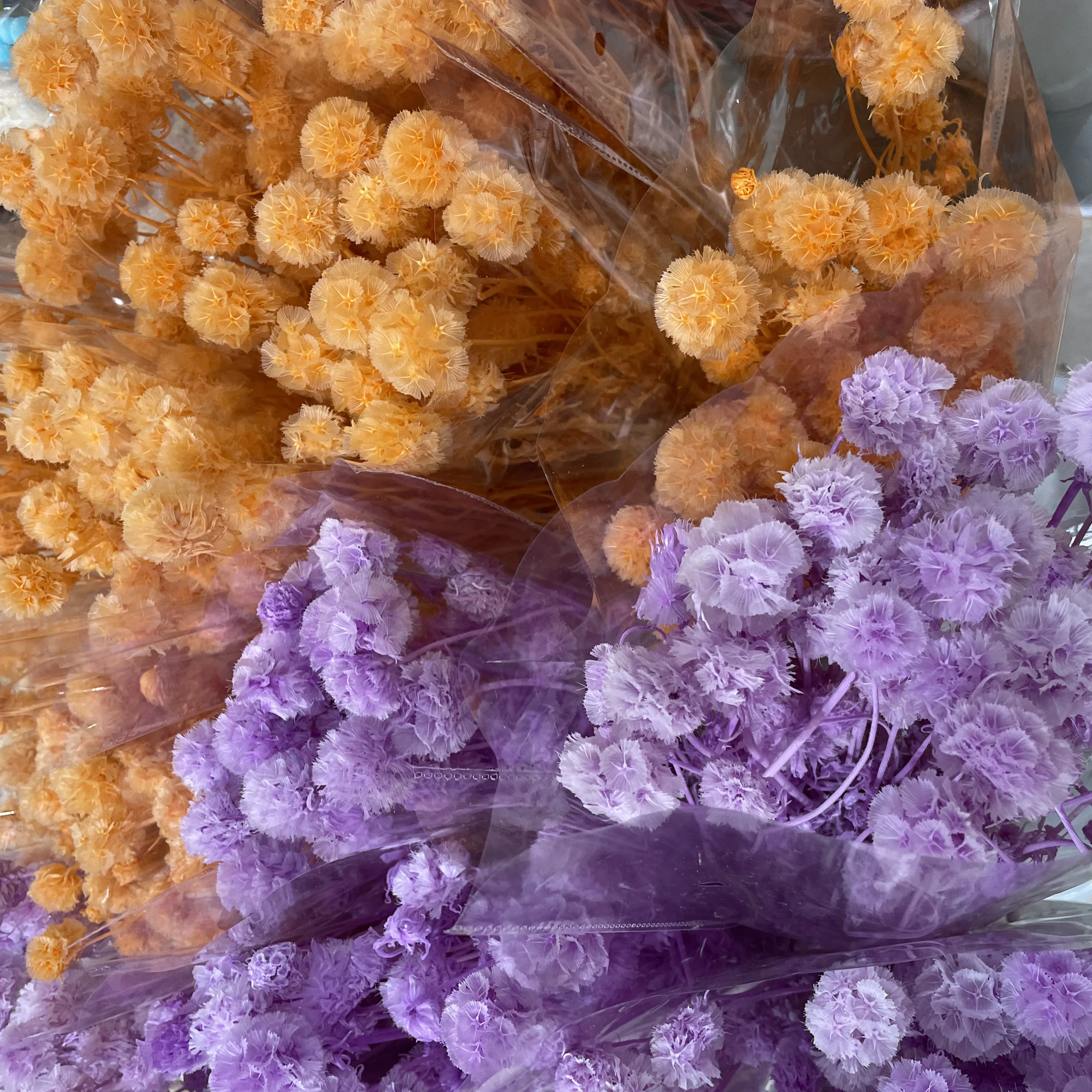 10 heads Dried Flowers Spring Party Decoration Natural Decorative DIY flowers joker adorn with tie-in grass Home Decor
10 heads Dried Flowers Spring Party Decoration Natural Decorative DIY flowers joker adorn with tie-in grass Home Decor