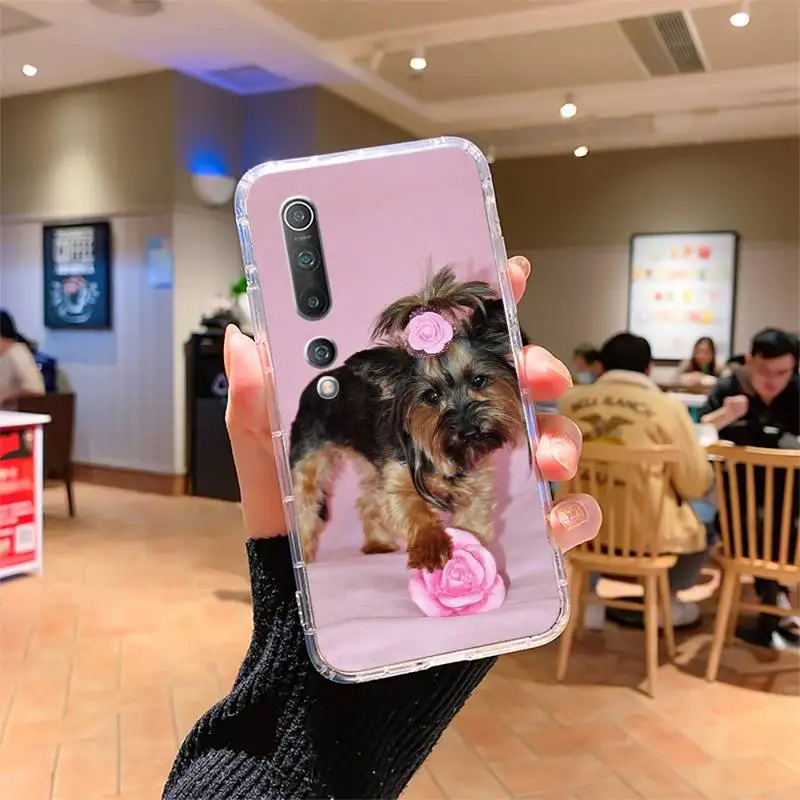 Hot Yorkshire terrier dog puppy Phone Case For Samsung s7 8 9 10 lite 20 note20 a71 21 4 5 6edge plus Cover Fundas Coque
Hot Yorkshire terrier dog puppy Phone Case For Samsung s7 8 9 10 lite 20 note20 a71 21 4 5 6edge plus Cover Fundas Coque
