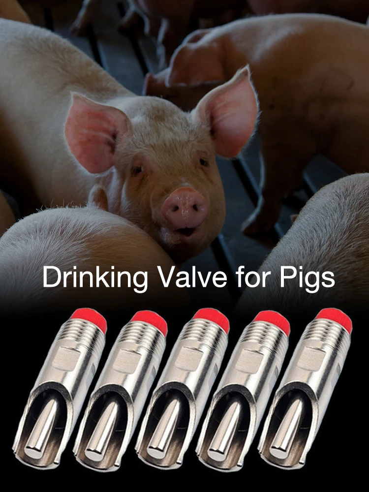 Drop Shipping High Quality 5PCS/set Drinking Valve Stainless Steel Water Feeder Faucet Pet Water Feeding Supplies
Drop Shipping High Quality 5PCS/set Drinking Valve Stainless Steel Water Feeder Faucet Pet Water Feeding Supplies