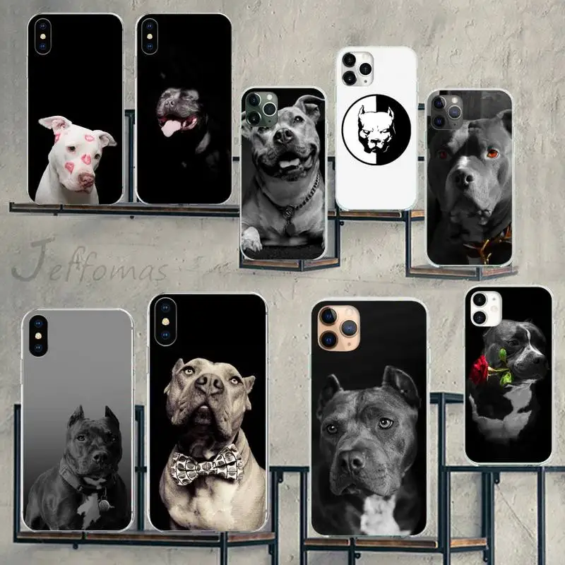 Pit Bull Lovely Pet Dog Pitbull Phone Case for iPhone 7 8 11 12 13 mini pro X XS XR MAX Plus
Pit Bull Lovely Pet Dog Pitbull Phone Case for iPhone 7 8 11 12 13 mini pro X XS XR MAX Plus