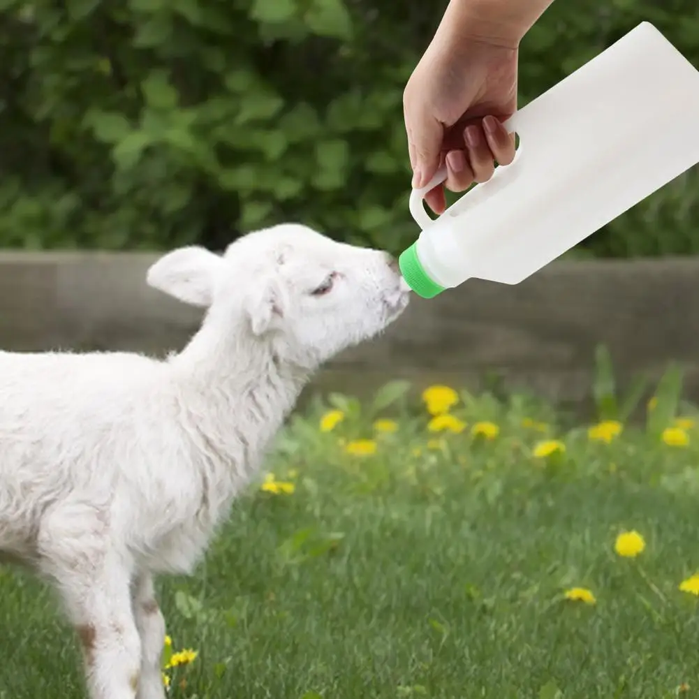 850 Ml Sheep Nipple Milk Drink Milk Lamb Feeder Bottle With Handle Ventilation Hole No Leakage Cost-effective Feeding Small Anim
850 Ml Sheep Nipple Milk Drink Milk Lamb Feeder Bottle With Handle Ventilation Hole No Leakage Cost-effective Feeding Small Anim