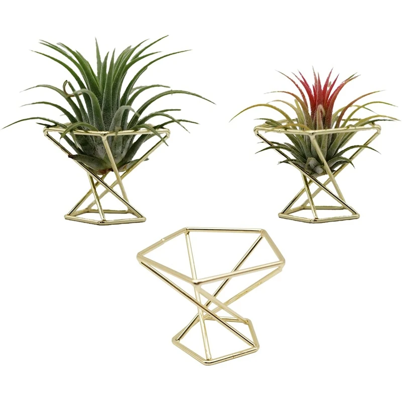3 Pcs Geometric Air Plant Holder Airplants Rack Metal Plants Stand Planter Shelves Himmeli Decor Tillandsia Containers
3 Pcs Geometric Air Plant Holder Airplants Rack Metal Plants Stand Planter Shelves Himmeli Decor Tillandsia Containers