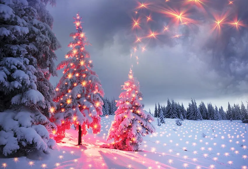 Merry Christmas winter snow trees fire Photography Backdrops Photography Backdrops kids Party Background Photo Studio Props
Merry Christmas winter snow trees fire Photography Backdrops Photography Backdrops kids Party Background Photo Studio Props