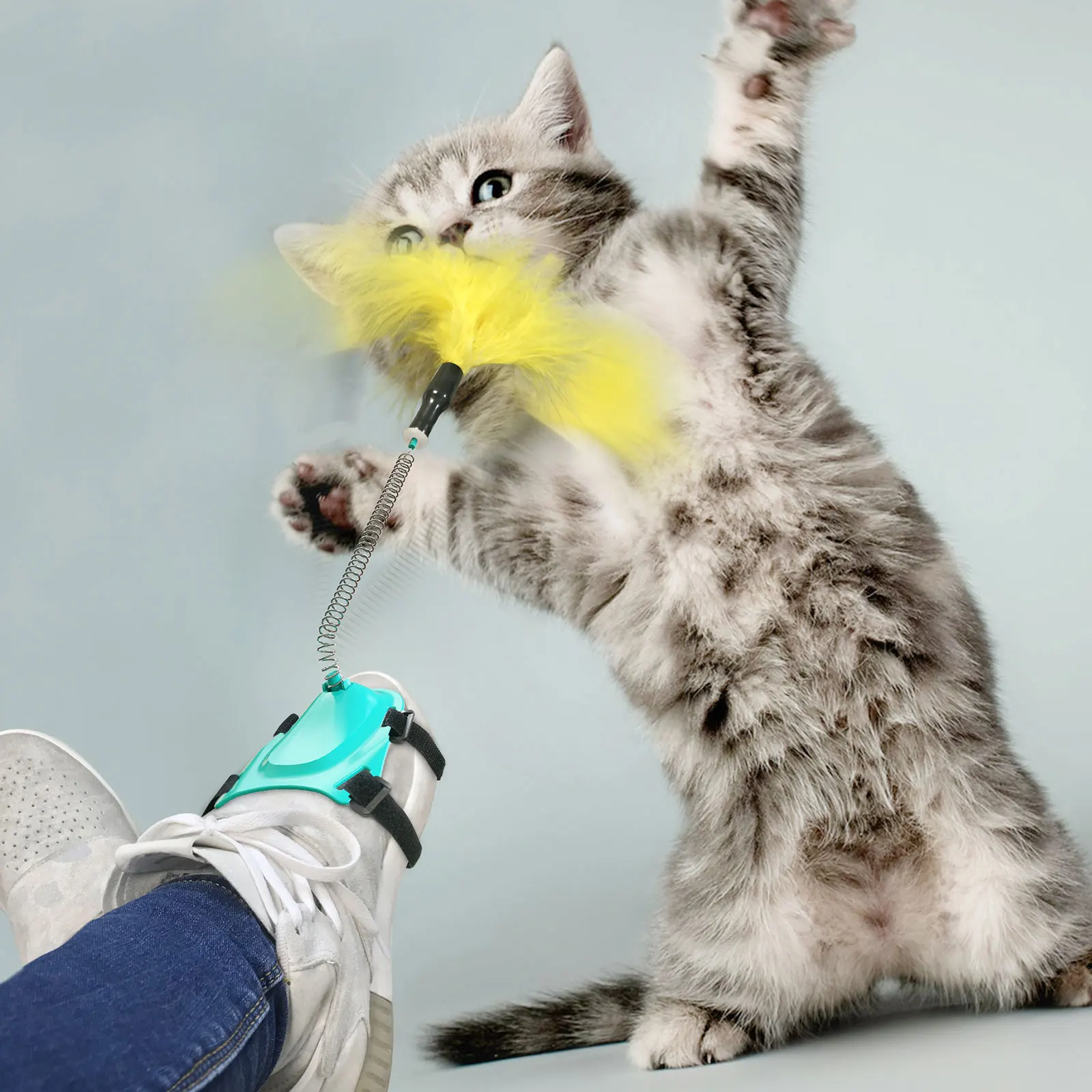 Pet products cross border new hot selling cat toys spring feather tease cat stick creative Fight cat toys
Pet products cross border new hot selling cat toys spring feather tease cat stick creative Fight cat toys