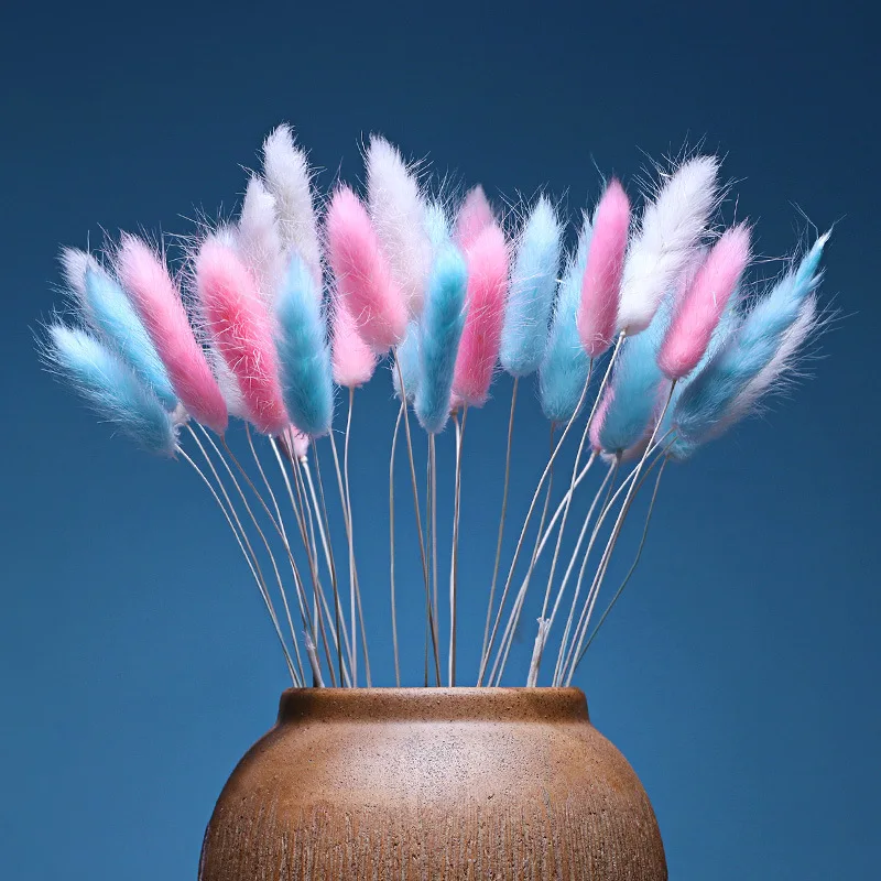 Natural Dried Flower Bouquet Wedding Home Easter Decoration Navidad Rabbit Tail Grass Lagurus Ovatus Real Plant Home Decor 40cm 
Natural Dried Flower Bouquet Wedding Home Easter Decoration Navidad Rabbit Tail Grass Lagurus Ovatus Real Plant Home Decor 40cm