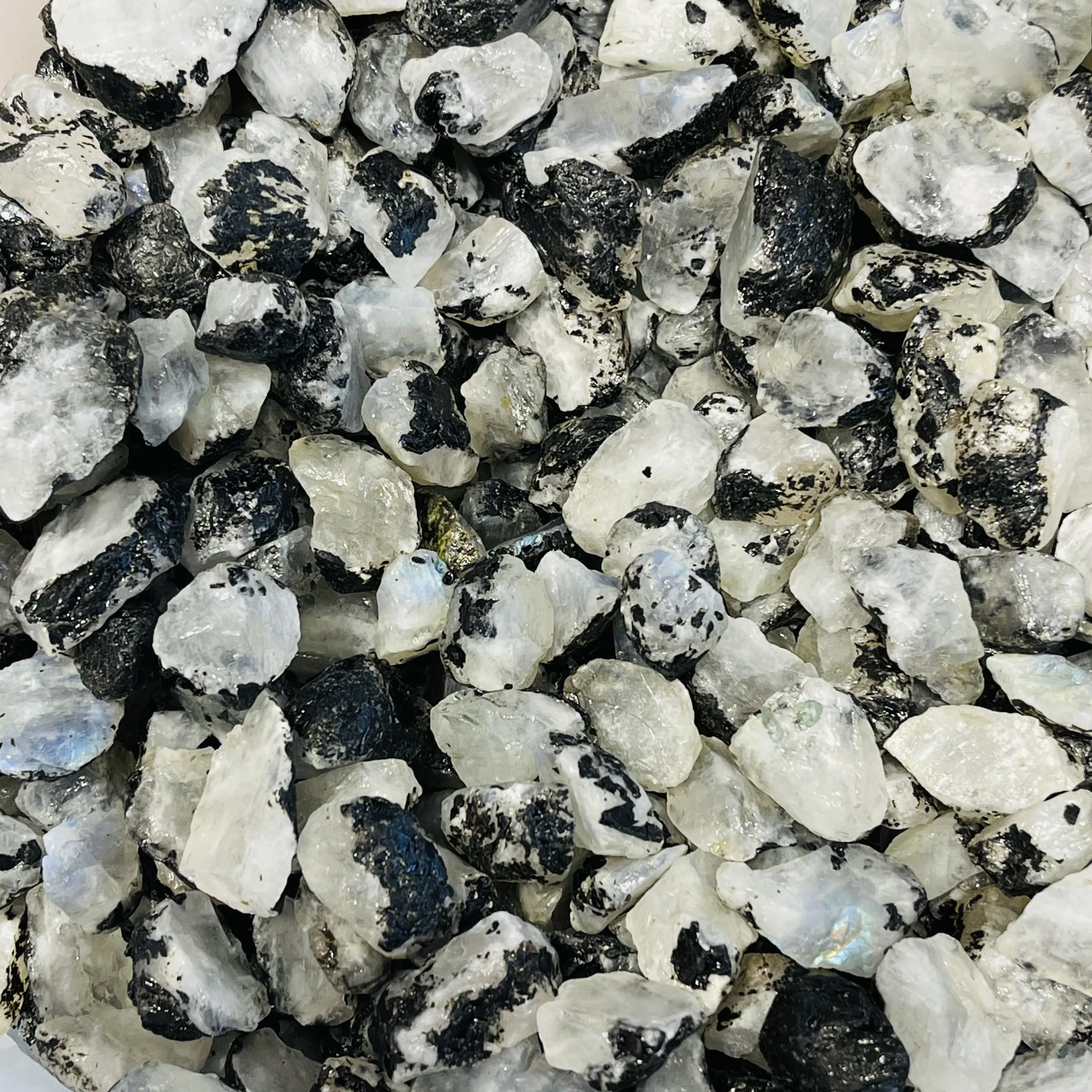 High Quality Rare Natural White Moonstone Tumbled Stone Crystal Reiki healing Specimen Home Decor
High Quality Rare Natural White Moonstone Tumbled Stone Crystal Reiki healing Specimen Home Decor