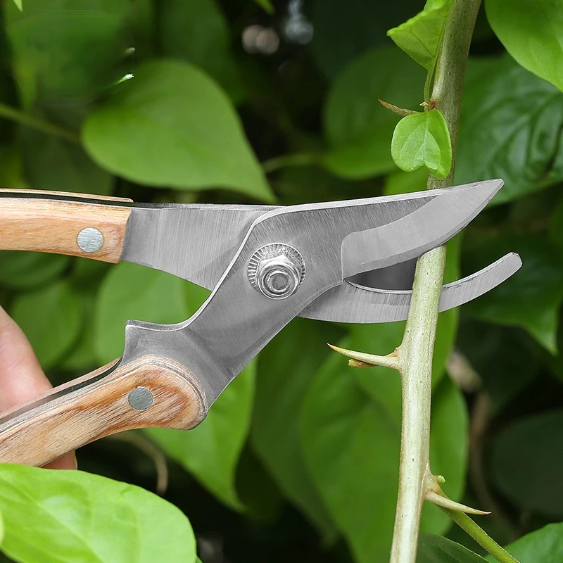 

Multi-purpose garden pruning shears labor-saving household scissors pruning thick branches fruit trees leaves gardening tools