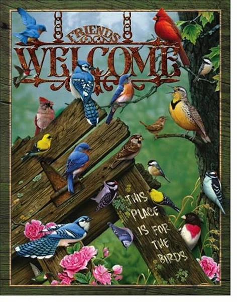 Welcome Bird Lover Metal Tin Sign Plaque Picture Nature Home Wall Decor Gift
Welcome Bird Lover Metal Tin Sign Plaque Picture Nature Home Wall Decor Gift