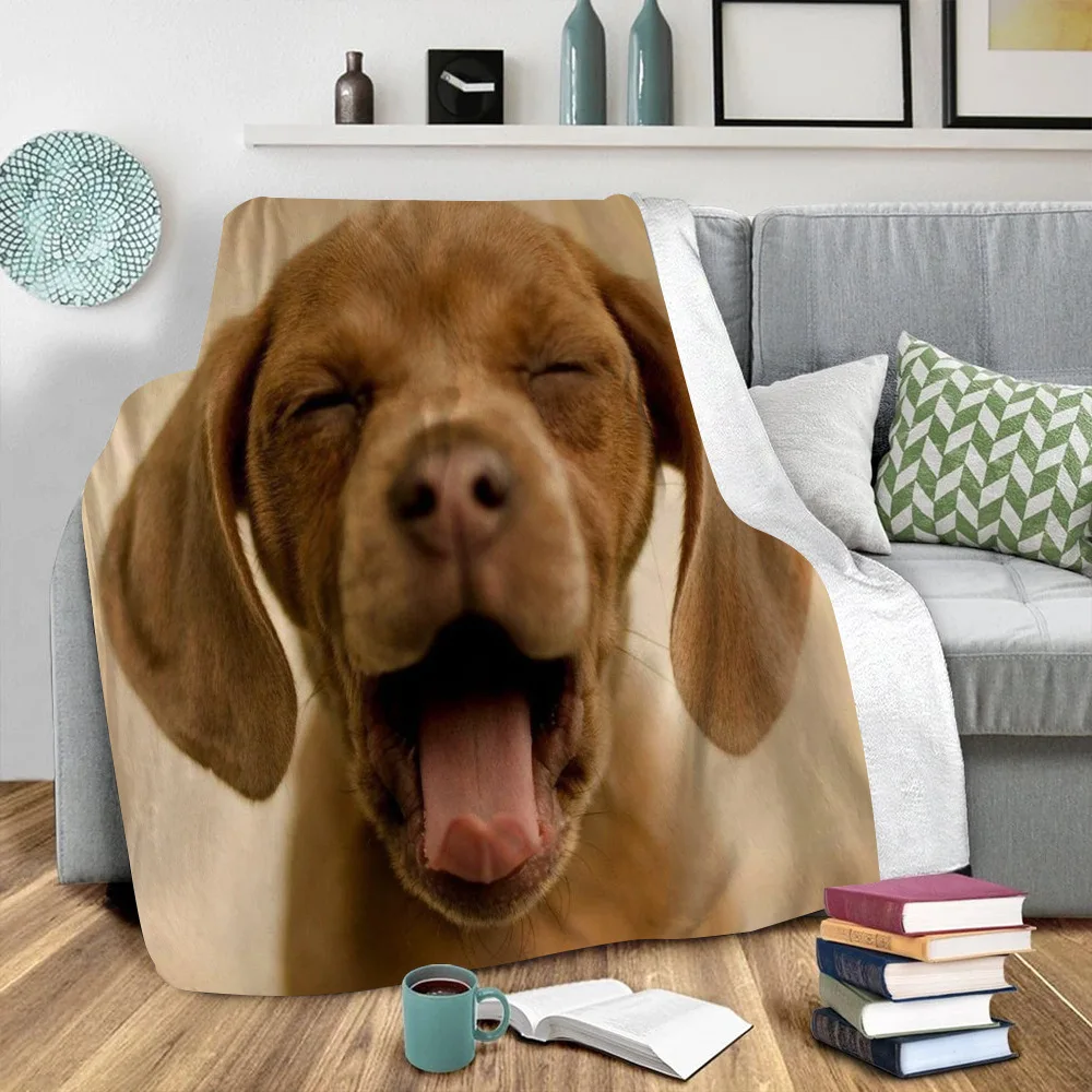 Funny Dog Animal Sherpa Blanket 3D Printed Blanket Kids Fleece Blanket Cute Warm Soft Blanket Drop Shipping 02
Funny Dog Animal Sherpa Blanket 3D Printed Blanket Kids Fleece Blanket Cute Warm Soft Blanket Drop Shipping 02