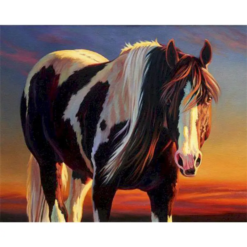 SDOYUNO DIY Oil Painting By Numbers Animal Home Living Room Art Craft 40x50cm Coloring By Number Canvas Kits Horse Handmade Gift
SDOYUNO DIY Oil Painting By Numbers Animal Home Living Room Art Craft 40x50cm Coloring By Number Canvas Kits Horse Handmade Gift