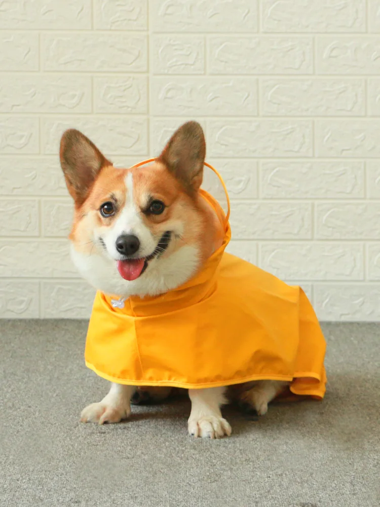 Dog raincoat small dog pet supplies Teddy Corgi special waterproof dog clothes medium four-legged all-inclusive bellyband
Dog raincoat small dog pet supplies Teddy Corgi special waterproof dog clothes medium four-legged all-inclusive bellyband