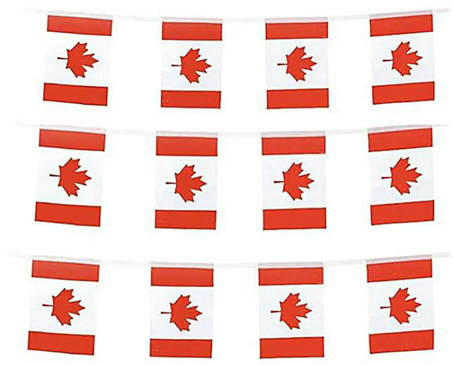 

ZXZ Canada bunting flags 14x21cm 20pcs Pennant Canada String Banner Buntings Festival Party Holiday for decor