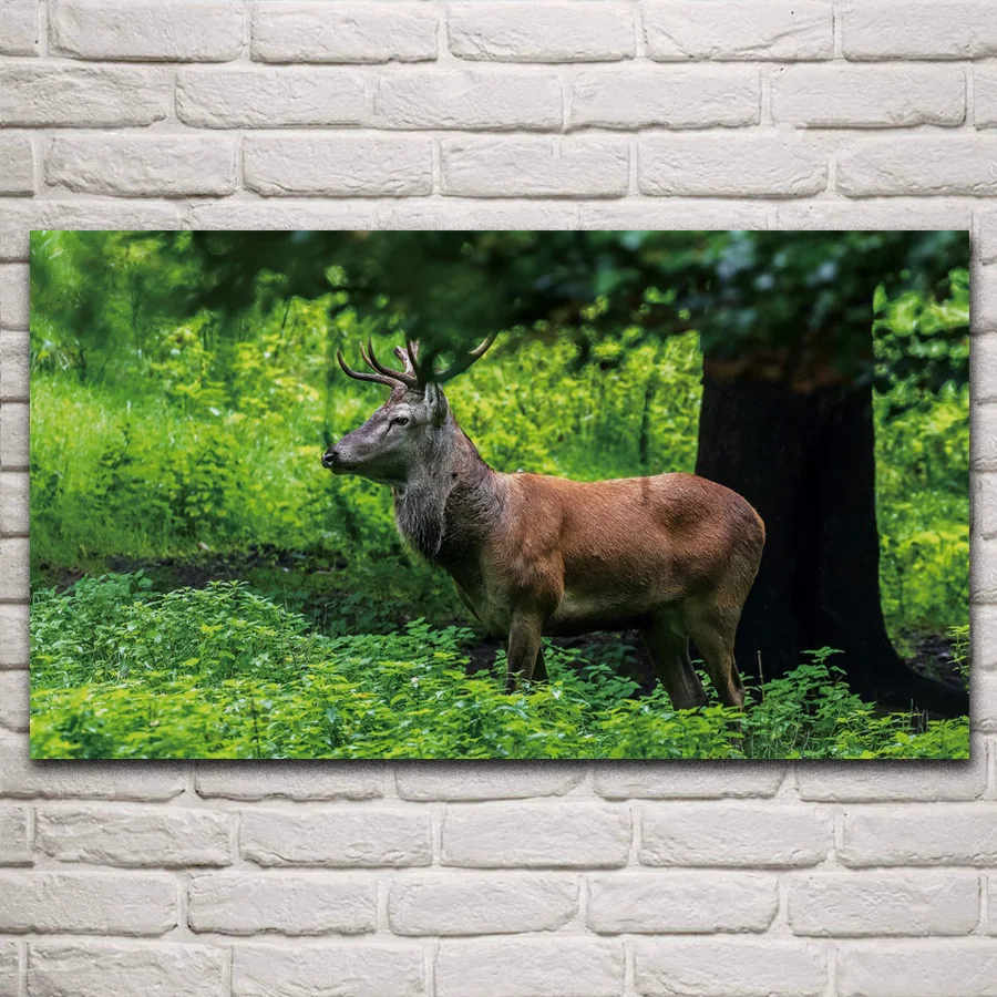 Wild deer plants bushes tree forest animals artwork fabric posters on the wall picture home art living room decoration KP144
Wild deer plants bushes tree forest animals artwork fabric posters on the wall picture home art living room decoration KP144