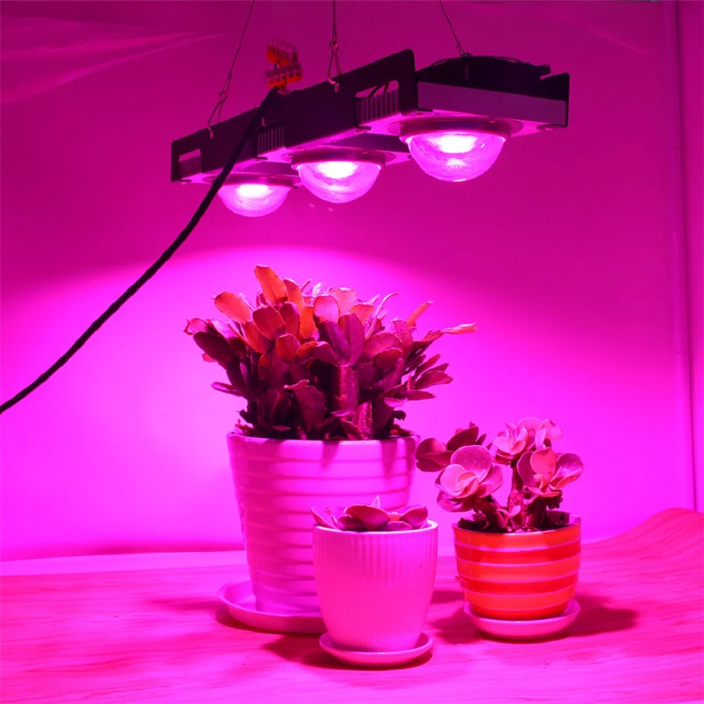 COB светодиодный Grow светильник полный спектр 100W 200W 300W 400W для сельскохозяйствнных ламп для комнатных растений цветы Теплицы гидропоника, шате...
COB светодиодный Grow светильник полный спектр 100W 200W 300W 400W для сельскохозяйствнных ламп для комнатных растений цветы Теплицы гидропоника, шате...