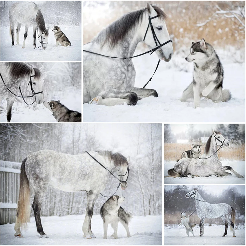 5D Animal DIY Horse Diamond Painting Dog Cross Stitch Kit Mosaic Full Drill Diamond Embroidery Home Craft Art Decoration Gift
5D Animal DIY Horse Diamond Painting Dog Cross Stitch Kit Mosaic Full Drill Diamond Embroidery Home Craft Art Decoration Gift