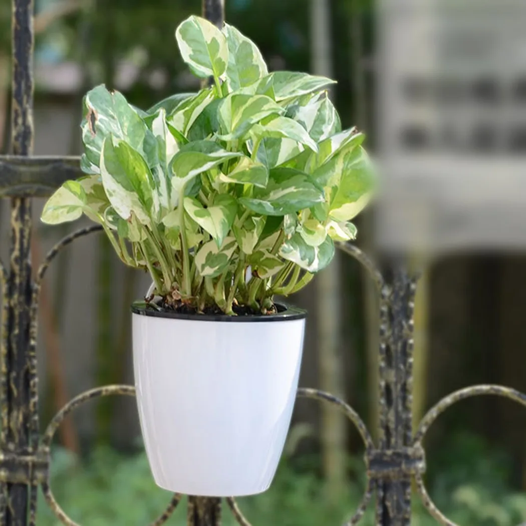 Creative Wall Hanging Plant Pot Auto Absorb Water Flowerpot Wall Hanging, Home Decor, Gift Hanging Design Flowers Pot
Creative Wall Hanging Plant Pot Auto Absorb Water Flowerpot Wall Hanging, Home Decor, Gift Hanging Design Flowers Pot