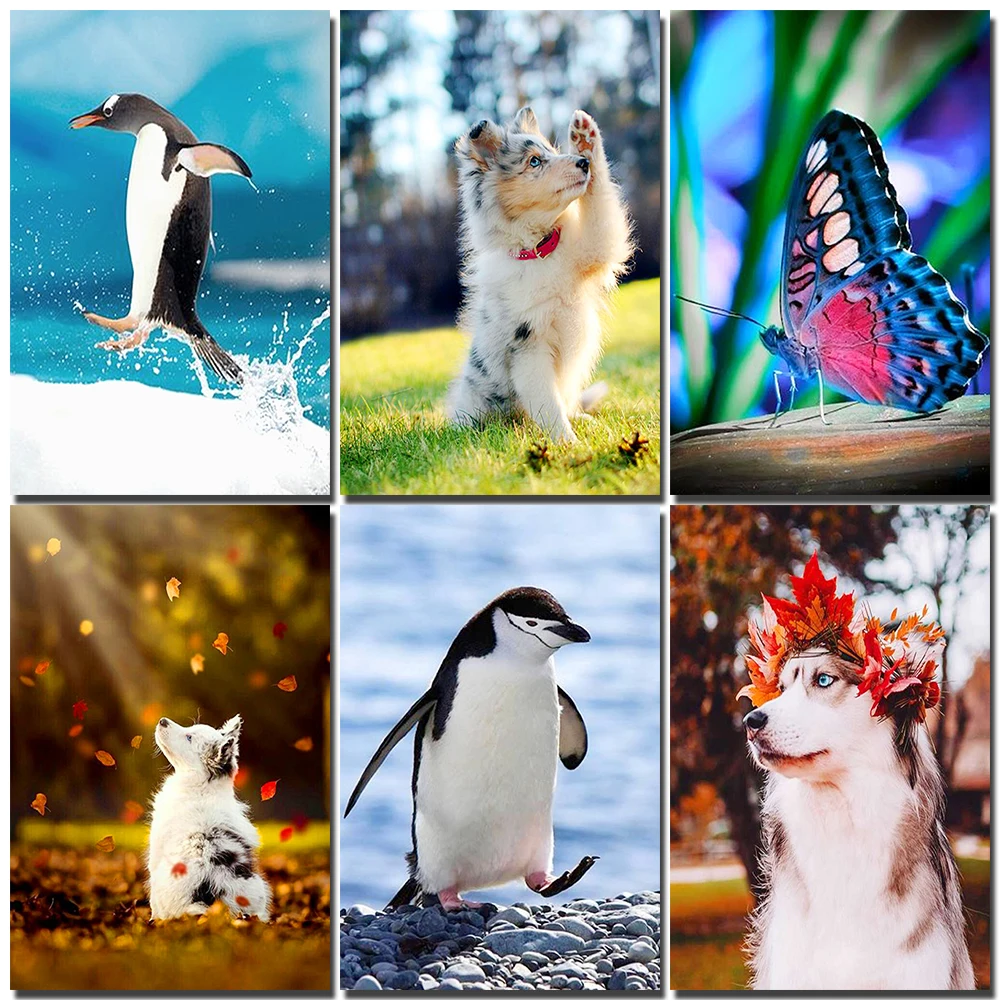 5D DIY Diamond Painting Animals Set Full Diamond Special Shape Drill Penguin Puppy Butterfly Embroidery Mosaic Home Decoration 
5D DIY Diamond Painting Animals Set Full Diamond Special Shape Drill Penguin Puppy Butterfly Embroidery Mosaic Home Decoration