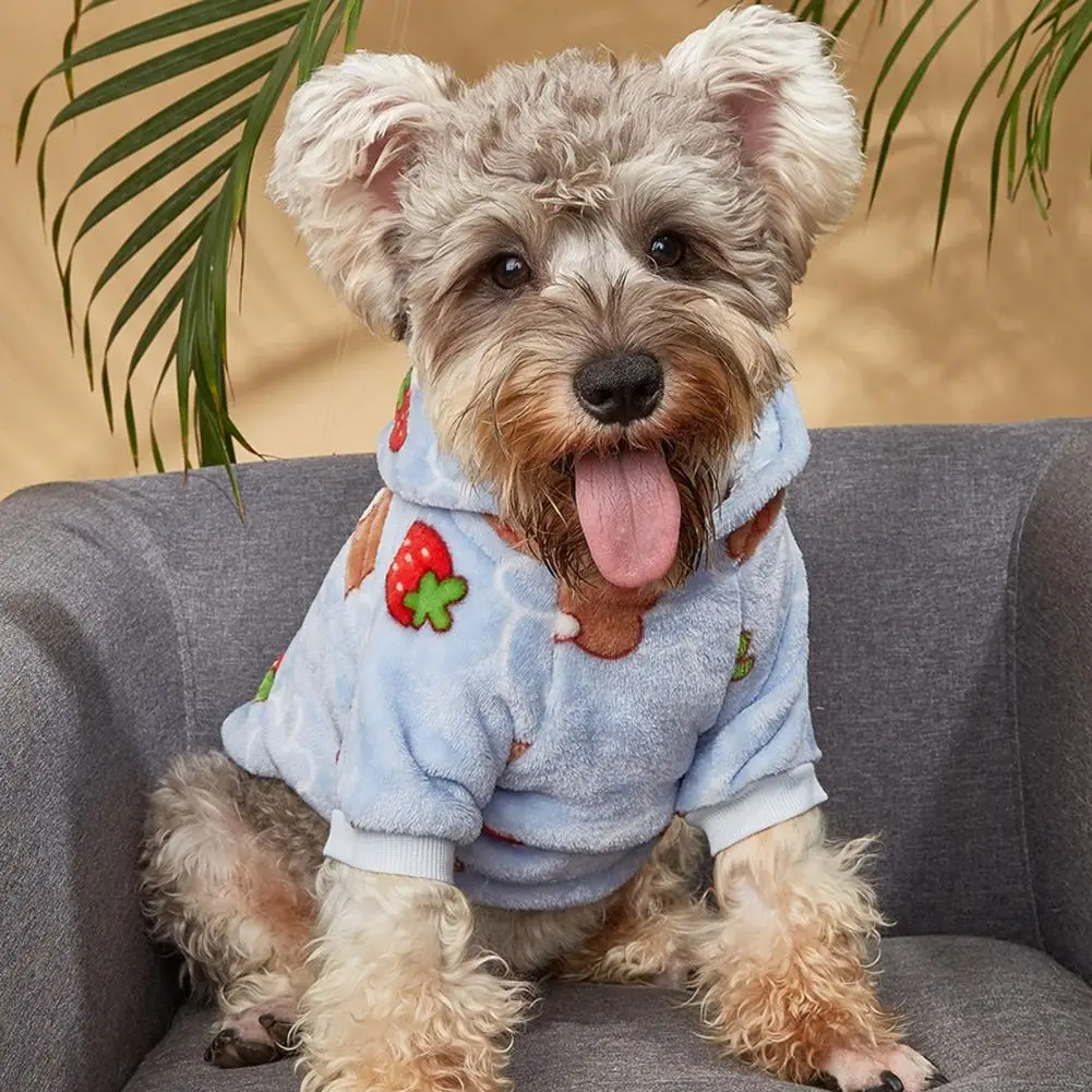 Excellent Pet Costume Skin-friendly Blue Color Pet Clothes Fade-resistant Dog Hoodie Pet Outfit
Excellent Pet Costume Skin-friendly Blue Color Pet Clothes Fade-resistant Dog Hoodie Pet Outfit