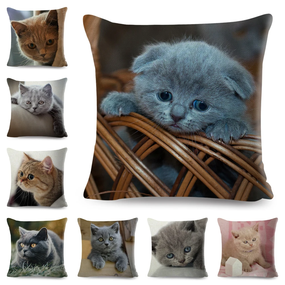 British Shorthair Russian Blue Cushion Cover Decor Cute Cat Pet Animal Pillowcase Polyester Pillow Case for Sofa Home Car 45x45
British Shorthair Russian Blue Cushion Cover Decor Cute Cat Pet Animal Pillowcase Polyester Pillow Case for Sofa Home Car 45x45