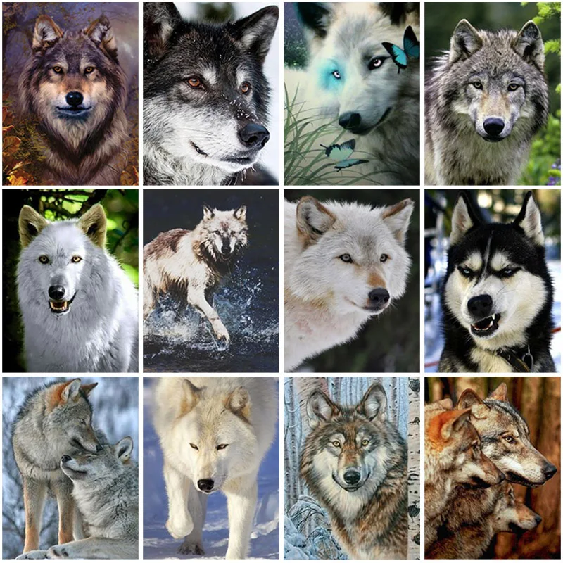 DIY Wolf 5D Diamond Painting Full Square Drill Animal Diamond Embroidery Cross Stitch Mosaic Resin Wall Art Home Decor Gift
DIY Wolf 5D Diamond Painting Full Square Drill Animal Diamond Embroidery Cross Stitch Mosaic Resin Wall Art Home Decor Gift
