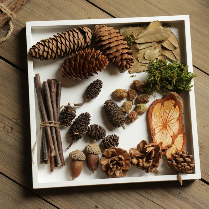Natural material oak Christmas decoration New Year decoration retro material package natural micro scene christmas decor
Natural material oak Christmas decoration New Year decoration retro material package natural micro scene christmas decor