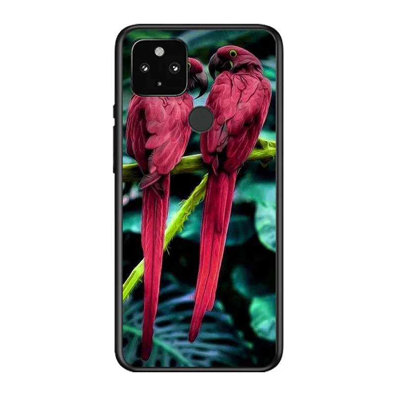 Cute Parrot Birds Soft TPU Silicone Black Cover For Google Pixel 5 4A 5G 4 XL Phone Case
Cute Parrot Birds Soft TPU Silicone Black Cover For Google Pixel 5 4A 5G 4 XL Phone Case