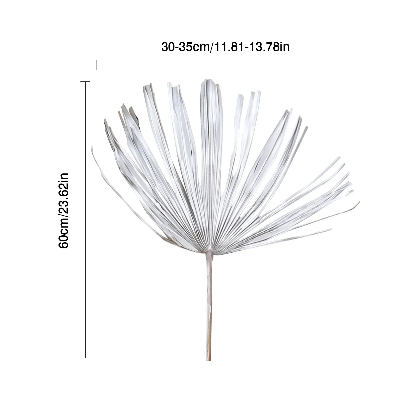 Palm Fan Leaf Dried Palm Leaf DIY Wall Ornament Wedding Party Arch Arrangement Home Window Art Decoration
Palm Fan Leaf Dried Palm Leaf DIY Wall Ornament Wedding Party Arch Arrangement Home Window Art Decoration
