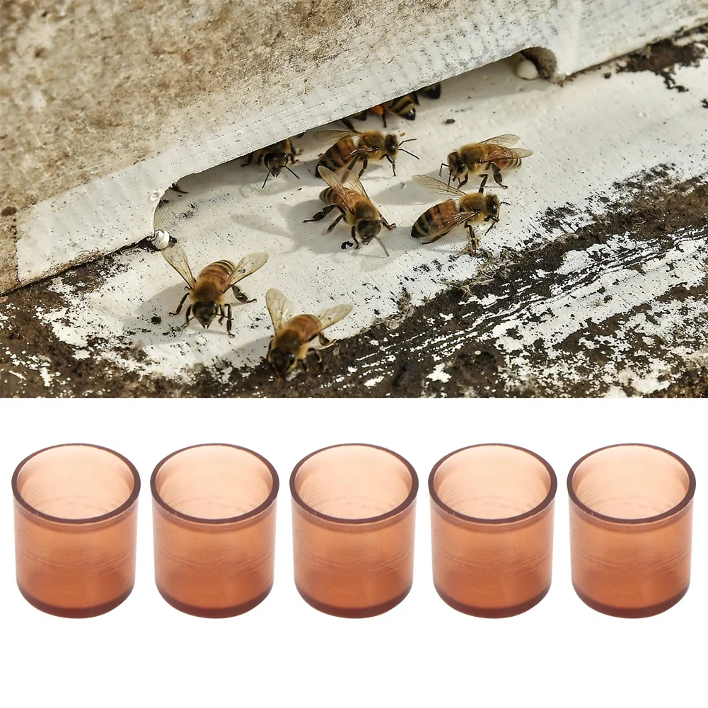 500Pcs Plastic Rearing Box Brown Cells Plastic Cups Queen Rearing Honey Bee Beekeeping Supplies Cupularve Bee Keeper Tools 
500Pcs Plastic Rearing Box Brown Cells Plastic Cups Queen Rearing Honey Bee Beekeeping Supplies Cupularve Bee Keeper Tools