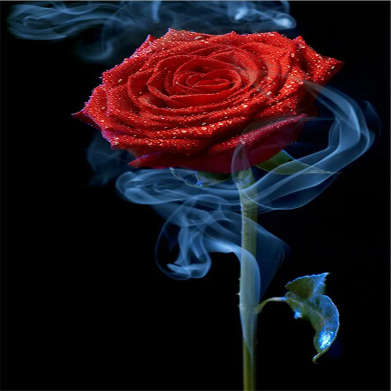 Rose Flowers 5d Diamond Art Painting Embroidery Floral Diamonds Home Decoration Cross Stitch Diamond Paintings Wall Sticker 
Rose Flowers 5d Diamond Art Painting Embroidery Floral Diamonds Home Decoration Cross Stitch Diamond Paintings Wall Sticker