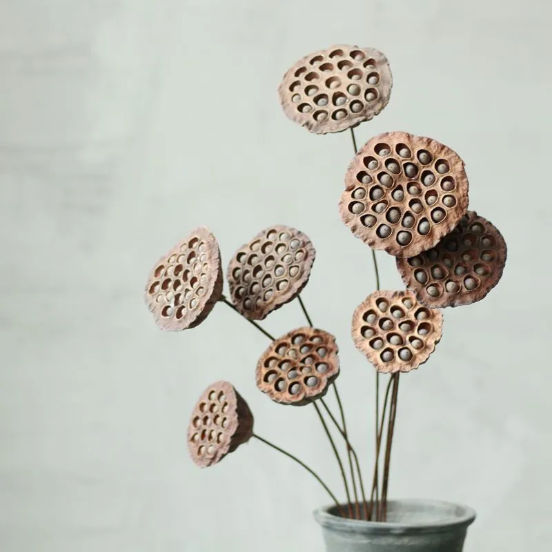 Stem Dried Seedpod Of Lotus Retro Style Wedding Party Garden Decoration Salon Mariage DIY Bouquet Accessory Natural Plant
Stem Dried Seedpod Of Lotus Retro Style Wedding Party Garden Decoration Salon Mariage DIY Bouquet Accessory Natural Plant