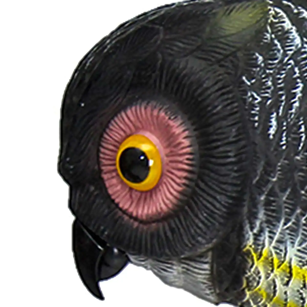 1pc Fake Prowler Owl With Moving Wing Bird Proof Repellent Garden Decoy Pest Scarer Sparrow Bird Control Supplies
1pc Fake Prowler Owl With Moving Wing Bird Proof Repellent Garden Decoy Pest Scarer Sparrow Bird Control Supplies